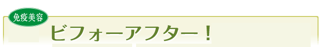 b-a-title-yoko-ban.gif (8703 バイト)